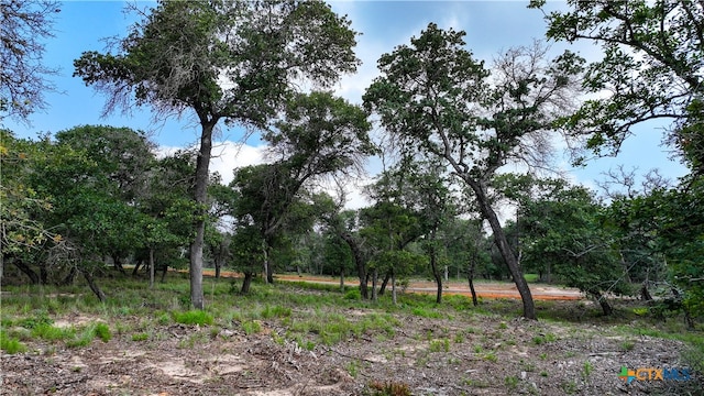 TRACT16 Sandstone Ln, Seguin TX, 78155 land for sale