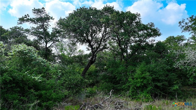 Listing photo 3 for TRACT16 Sandstone Ln, Seguin TX 78155