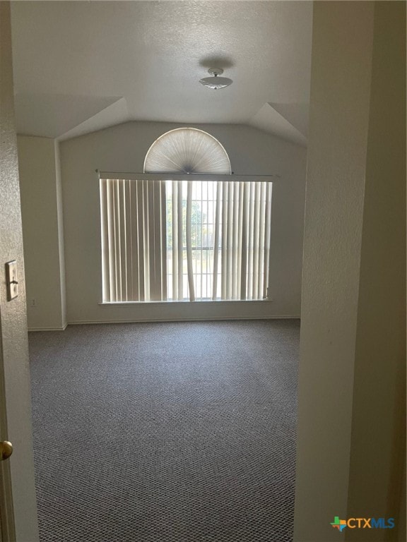 unfurnished room featuring carpet flooring and vaulted ceiling