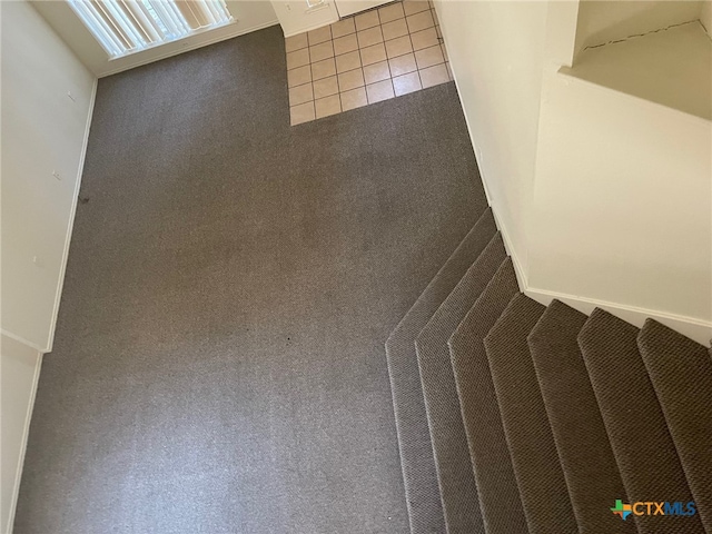 staircase with carpet flooring