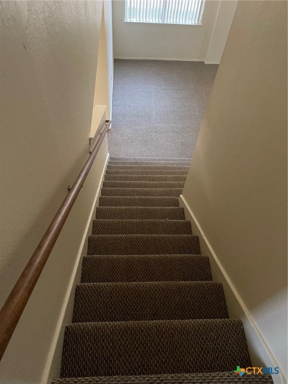 stairs featuring carpet floors