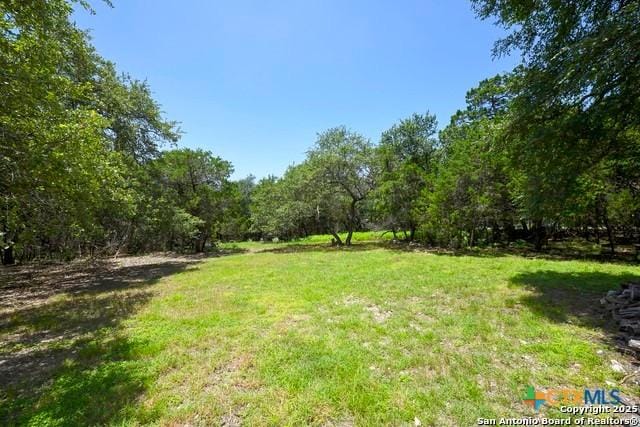 464 Paradise Hls, New Braunfels, TX 78132 - photo 26
