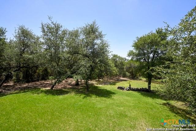 464 Paradise Hls, New Braunfels, TX 78132 - photo 25