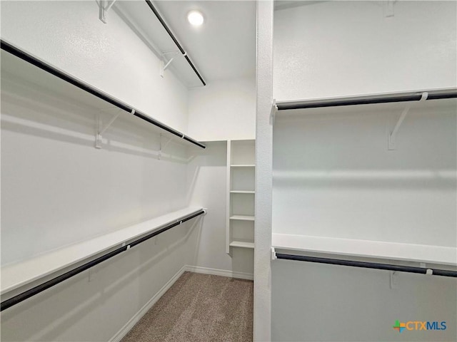 2021 Yarrow Rd, Temple, TX 76502 - spacious closet featuring carpet