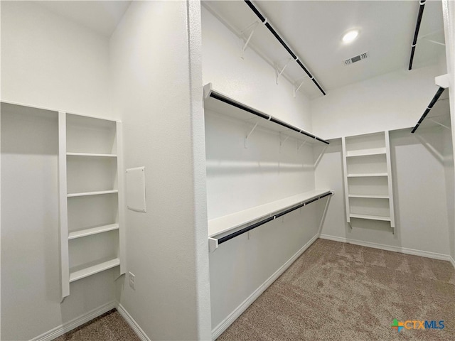 spacious closet with light carpet