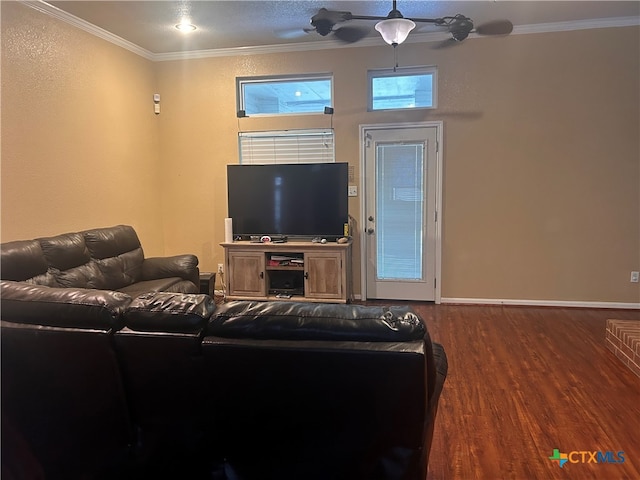 living room featuring ornamental molding and dark wood-type flooring