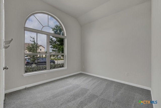 129 La Cima, Boerne, TX 78006 - carpeted spare room featuring plenty of natural light and lofted ceiling