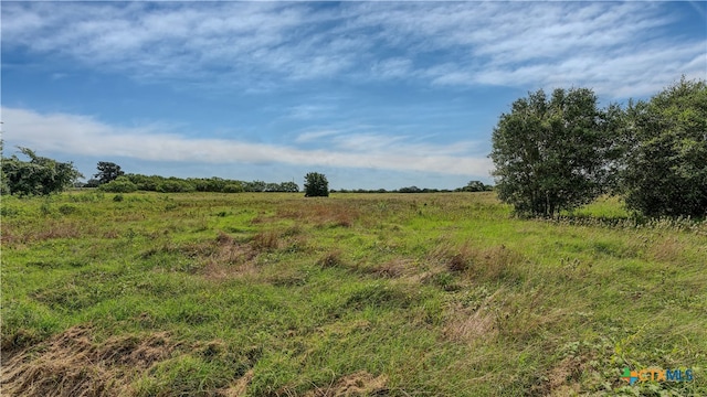 view of local wilderness with a rural view