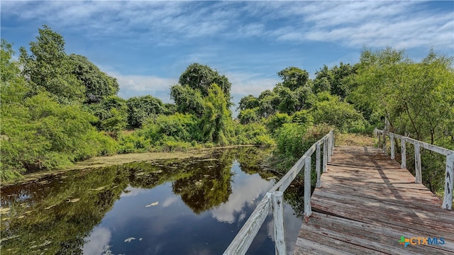 dock area with a water view