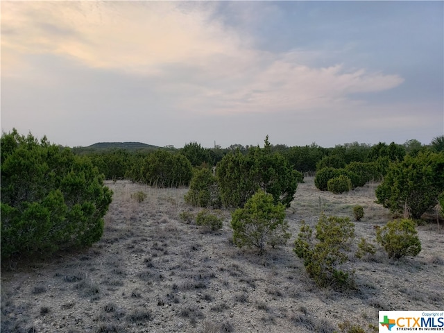 Listing photo 3 for LOT14 Lindorbet Rd, Copperas Cove TX 76522