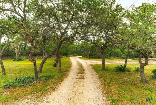 1218 Oakwood Loop, San Marcos, TX 78666 - view of dirt / gravel road