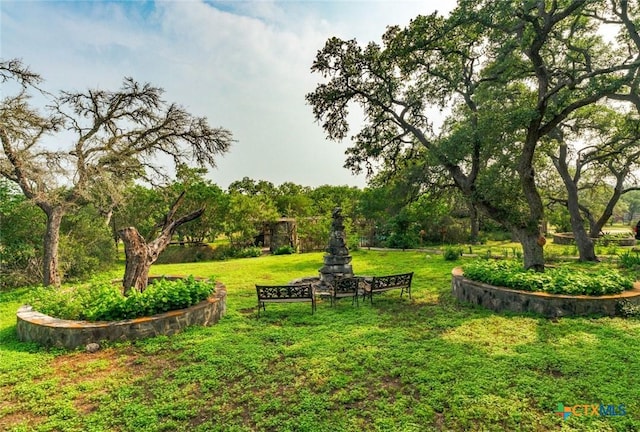 1218 Oakwood Loop, San Marcos, TX 78666 - view of green lawn