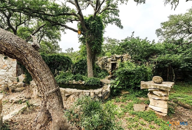 1218 Oakwood Loop, San Marcos, TX 78666 - view of nature