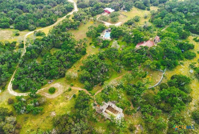 1218 Oakwood Loop, San Marcos, TX 78666 - aerial view of property and surrounding area