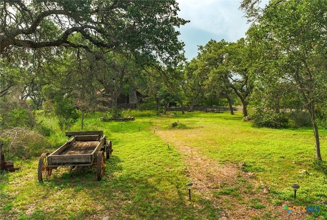 1218 Oakwood Loop, San Marcos, TX 78666 - view of community with a lawn