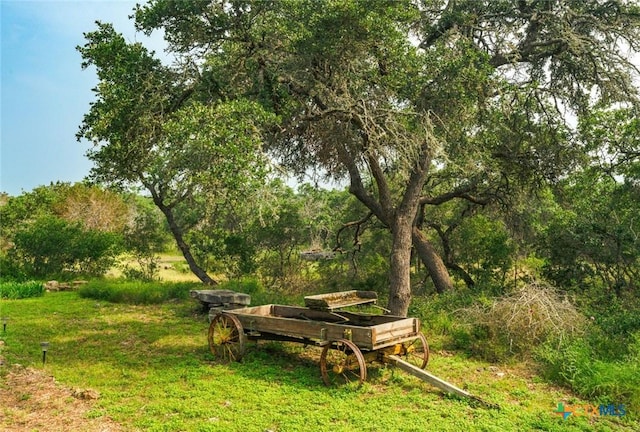 1218 Oakwood Loop, San Marcos, TX 78666 - view of yard