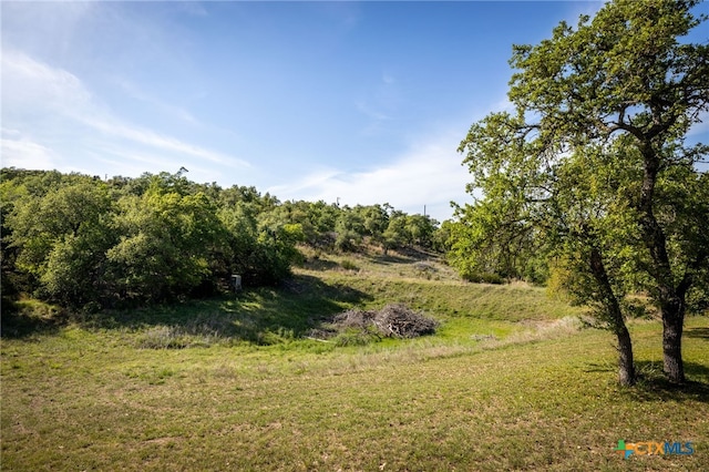 view of nature