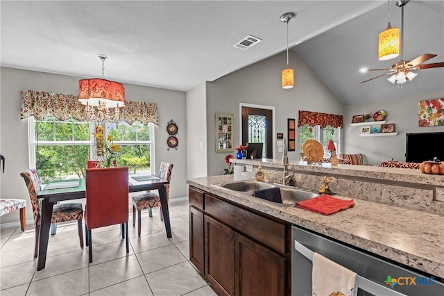 182 Palm, Spring Branch, TX 78070 - kitchen with stainless steel dishwasher, plenty of natural light, hanging light fixtures, and vaulted ceiling