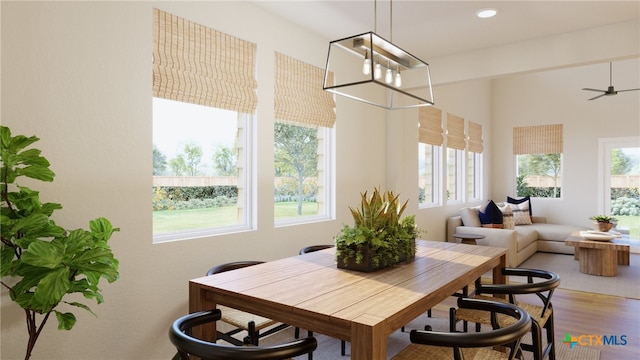 dining space featuring hardwood / wood-style floors and ceiling fan