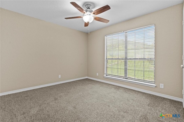 6302 Great Divide Rd, Killeen, TX 76549 - photo 23