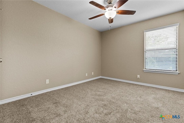 6302 Great Divide Rd, Killeen, TX 76549 - photo 37