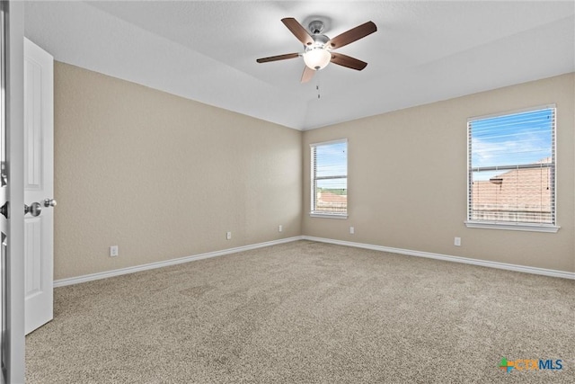6302 Great Divide Rd, Killeen, TX 76549 - photo 26