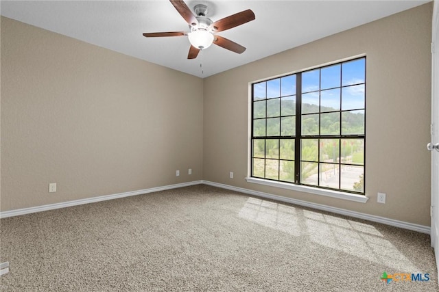 6302 Great Divide Rd, Killeen, TX 76549 - photo 36