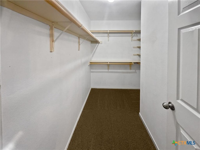 10012 Orion Dr, Temple, TX 76502 - walk in closet with carpet floors