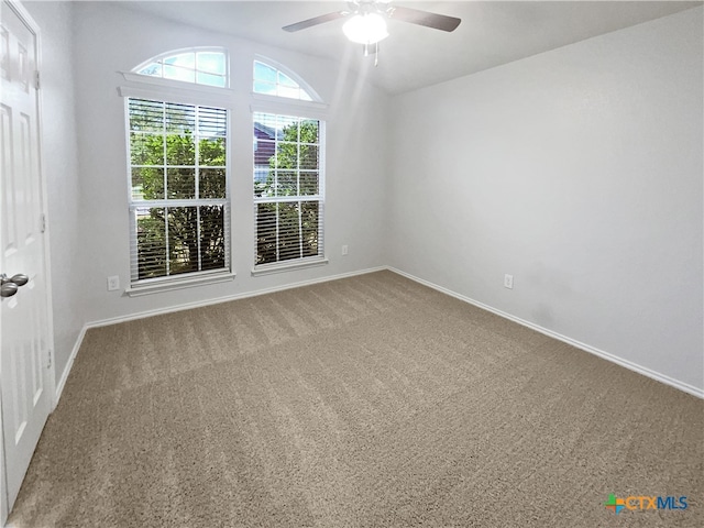 unfurnished room featuring ceiling fan and carpet flooring