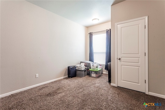 interior space with carpet floors