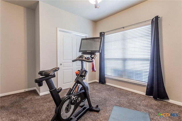 workout area featuring carpet