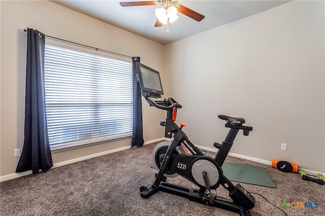 workout area featuring carpet flooring and ceiling fan