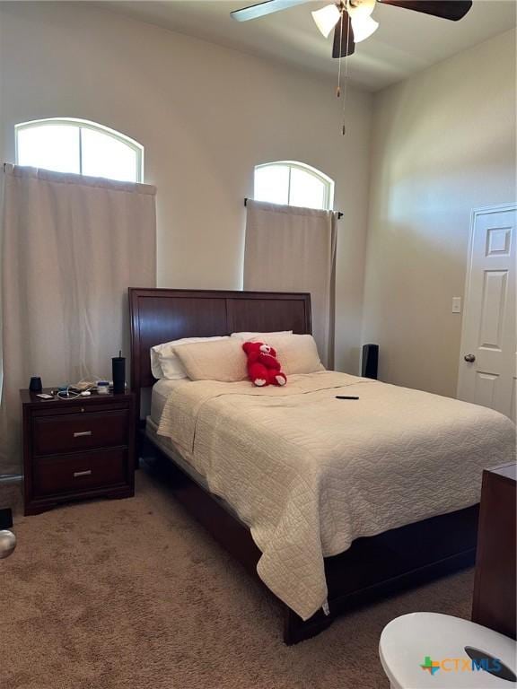 215 Danielle Dr, Killeen, TX 76542 - bedroom with carpet flooring, multiple windows, and a ceiling fan