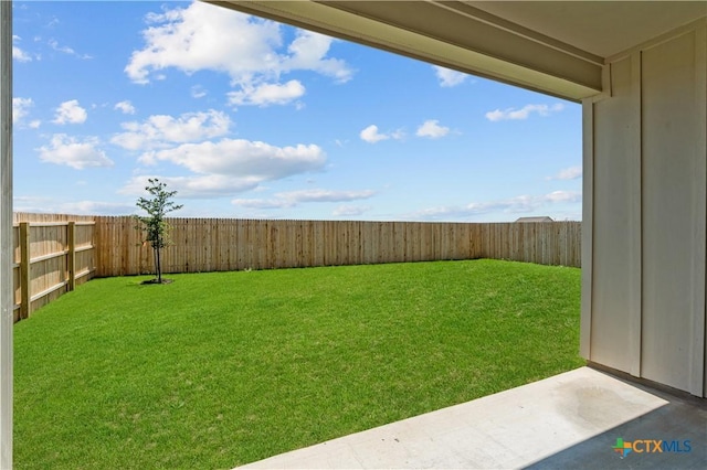 2050 Newforest Peak, New Braunfels, TX 78130 - photo 32