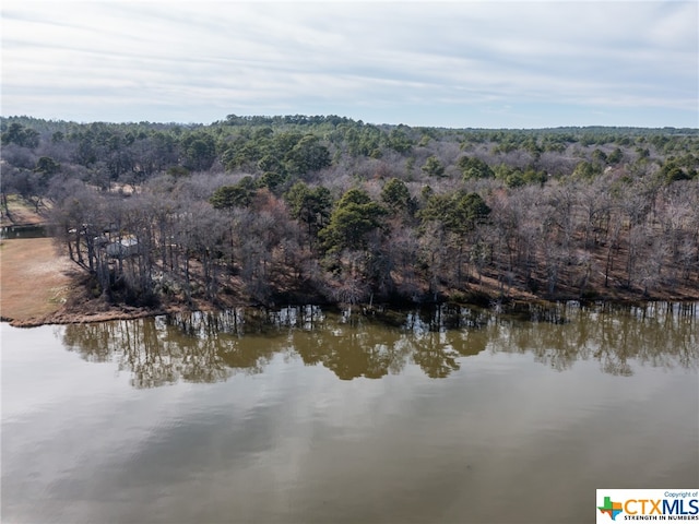 3104 Shadow Pine Dr, Larue, TX 75770