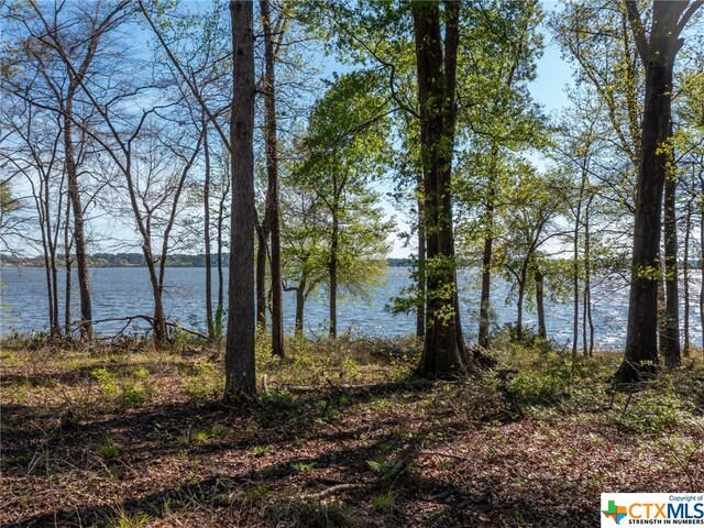 3104 Shadow Pine Dr, Larue, TX 75770