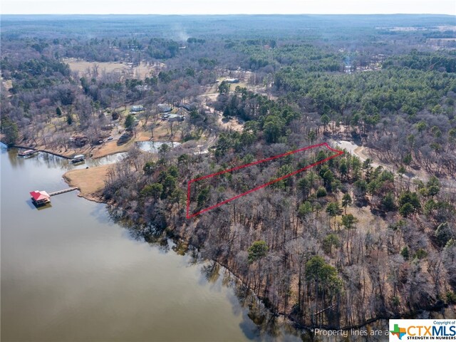 3104 Shadow Pine Dr, Larue, TX 75770
