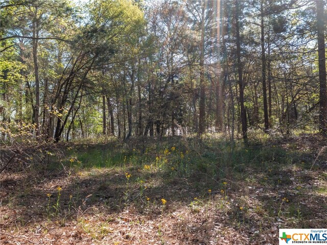 3104 Shadow Pine Dr, Larue, TX 75770
