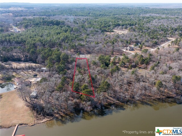 3104 Shadow Pine Dr, Larue, TX 75770