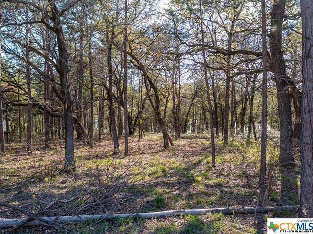3104 Shadow Pine Dr, Larue, TX 75770