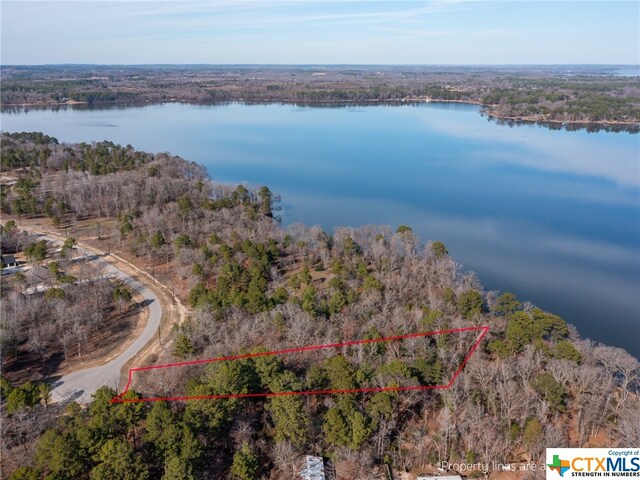 3104 Shadow Pine Dr, Larue, TX 75770