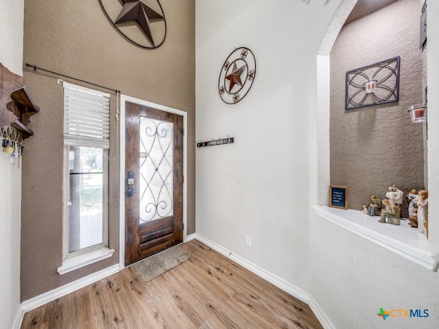 foyer with wood-type flooring