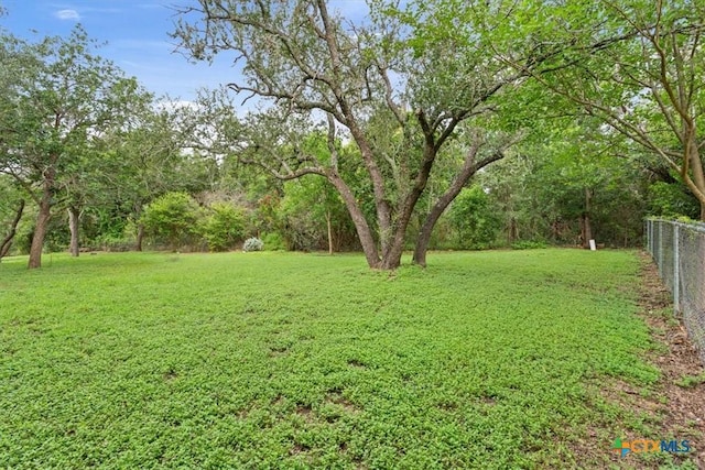 3927 Amanda Dr, Salado, TX 76571 - view of yard