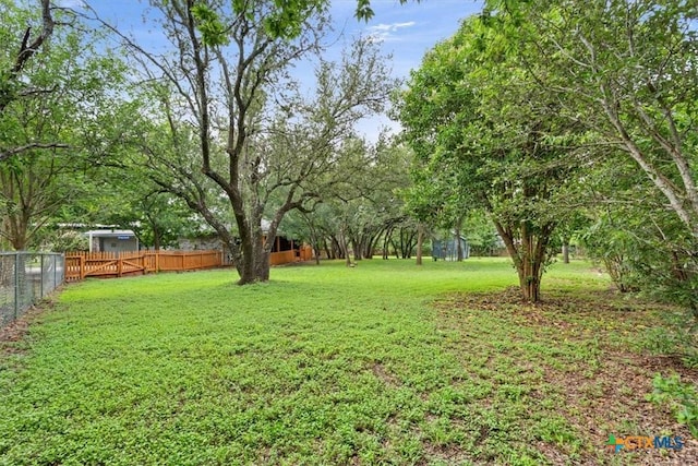 3927 Amanda Dr, Salado, TX 76571 - view of yard
