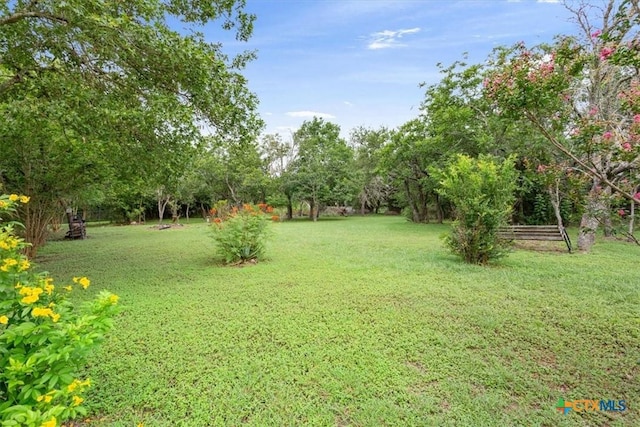 3927 Amanda Dr, Salado, TX 76571 - view of grassy yard