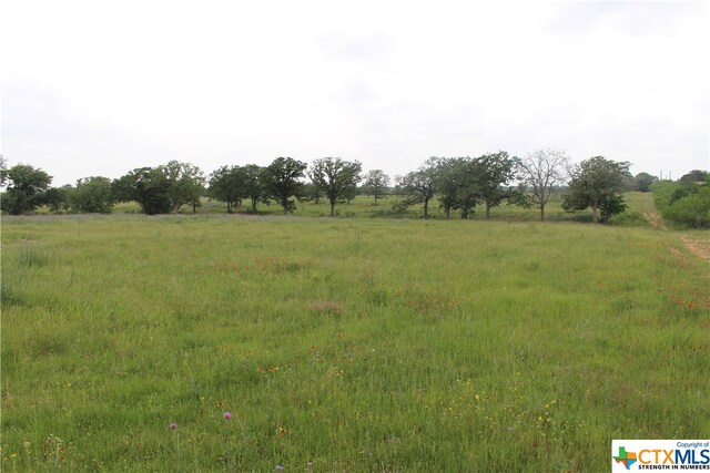 Listing photo 3 for TBD Fm-2438 Rd, Seguin TX 78155