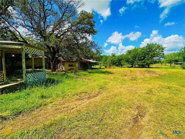 view of yard featuring a shed