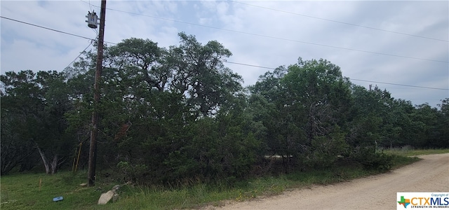 1391 Covered Wagon, Spring Branch TX, 78070 land for sale