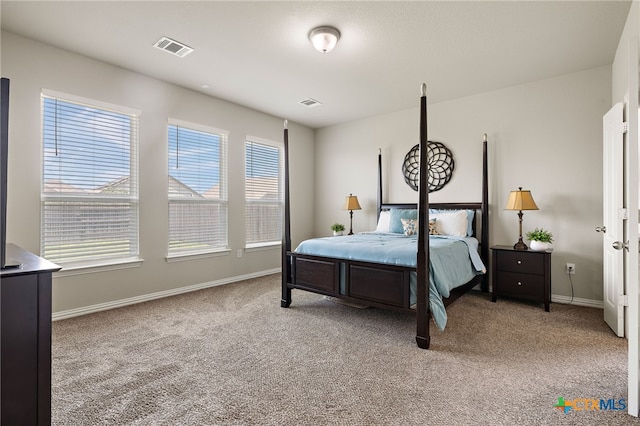 811 Kates Way, Hutto, TX 78634 - photo 19