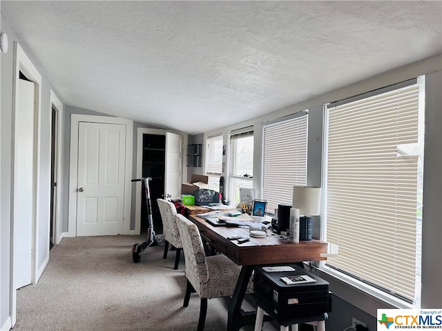 office featuring carpet floors, lofted ceiling, and a textured ceiling